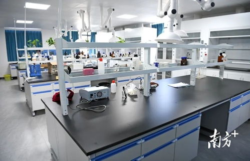 阳春市自来水厂扩容工程即将竣工运营，提升城市供水保障能力